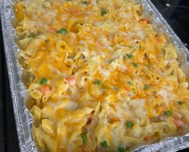Chicken Noodle Casserole 2024