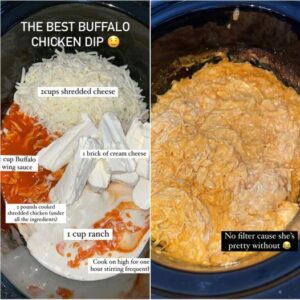 Buffalo Chicken Dip 2023 - Easy Family Recipes