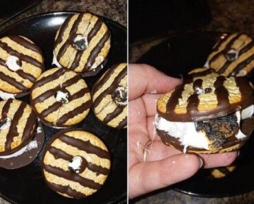 S’mores with Fudge-Striped Cookies Recipe 2023