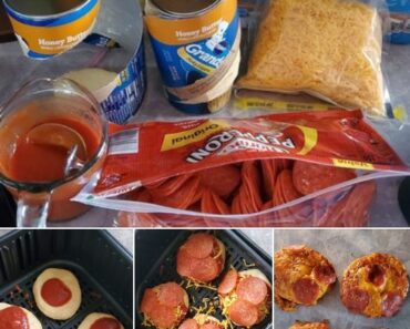 FryerPizzaBites FryerPizzaBites