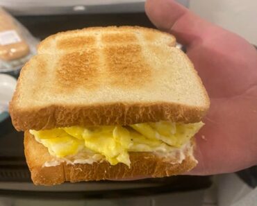 Memories Revived Egg Sandwich Memories Revived Egg Sandwich