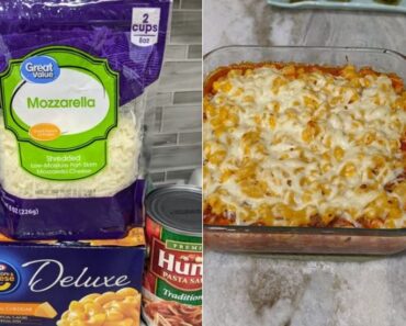 LasagnaDelight