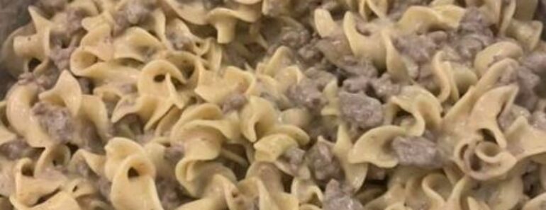 hamburger stroganoff