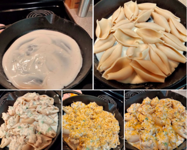 Chicken Alfredo Stuffed Shells Chicken Alfredo Stuffed Shells