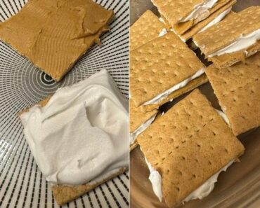 👉 Grahamwiches