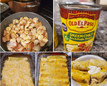 Creamy Chicken Enchiladas