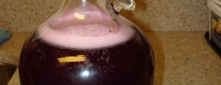 Homemade Blueberry Wine