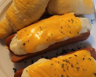 👉PotatoBoat Dogs 👉PotatoBoat Dogs