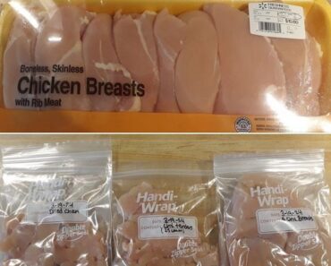 👉ChickenMagic 👉ChickenMagic