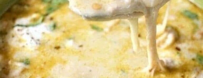 Crock Pot Green Enchilada Chicken Soup