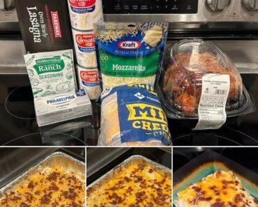 Creamy Cheesy Chicken Lasagna