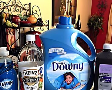 DIY Carpet Cleaner for a Machine