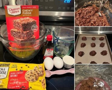 Chocolate Chip Brownie Cookies