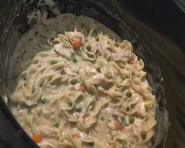 👉Cozy Chicken NoodlesGravy
