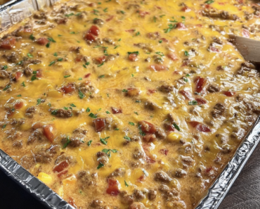 Cheesy Rotel Beef Dip