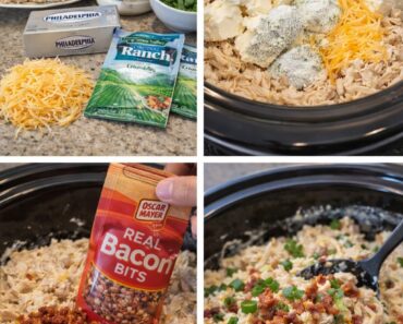 Crock Pot Crack Chicken.26