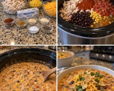 Chicken Enchilada Soup.26