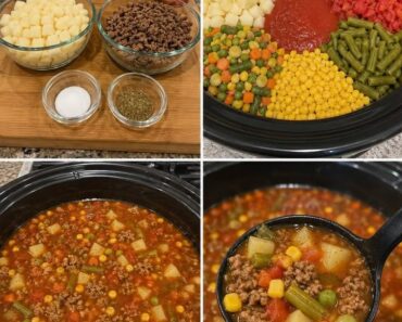 Vegetable Beef Soup.26