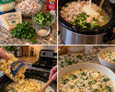 Alfredo Tortellini Soup.26