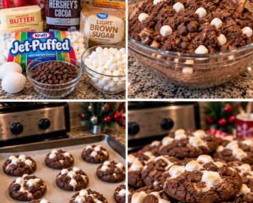 Hot Cocoa Cookies.26